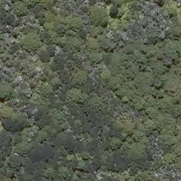 0 Kohuhu Road, Kohukohu, Kohukohu
