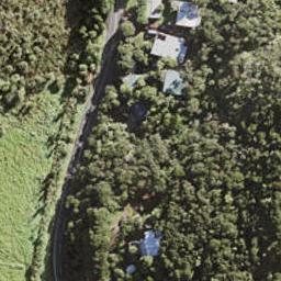 210 Bethells Road, Te Henga / Bethells Beach