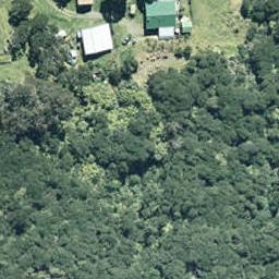 0 Copenhagen Road, Te Kaha, Te Kaha