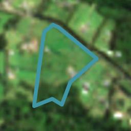 411 Puketotara Road, Waipapa, Waipapa
