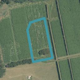53 Rangiwaea Island, RANGIWAEA ISLAND