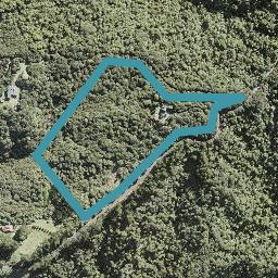 164 Lone Kauri Road, Karekare, Auckland
