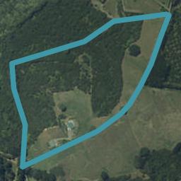 1047P Purangi Road, Cooks Beach, Whitianga