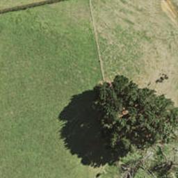 73 Pukewhau Road, Pukekohe, Pukekohe