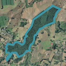 98 Lowe Road, WHAKAMARAMA, Whakamarama