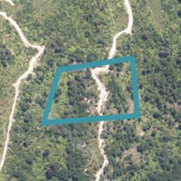 0 Kongahu Swamp Road, Little Wanganui, Karamea