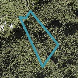 49 Jonkers Road, Henderson