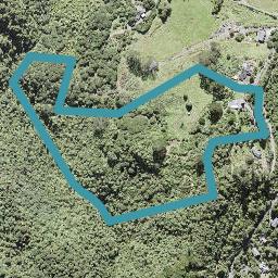321 Forest Hill Road, Waiatarua, Auckland