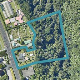 645 Pyes Pa Road, Pyes Pa, Tauranga