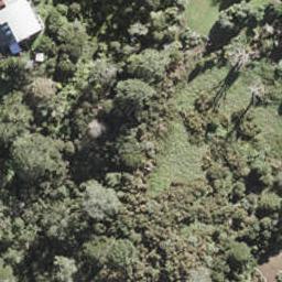 37 Baker Street, Fairview Heights, Auckland