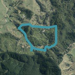 429 Lowe Road, Hikurangi, Hikurangi
