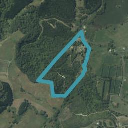597 Purangi Road, Cooks Beach, Whitianga