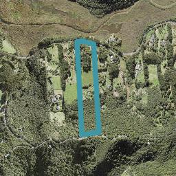 136 Bethells Road, Henderson