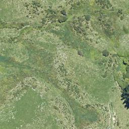 956 State Highway 29, Tauriko, Tauranga
