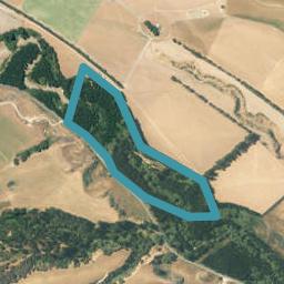770 Leader Road, FERNIEHURST, CHEVIOT