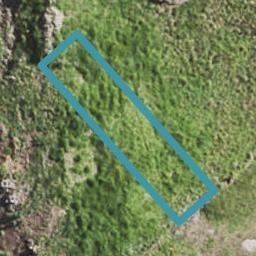 64 Matawhanga Drive, Wattle Downs, Auckland