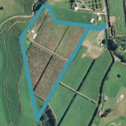 452 Allport Road, Paengaroa, Te Puke