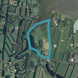 105 Tuapiro Road, Tahawai, Katikati