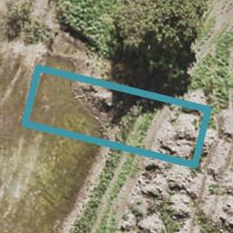 22 Pamu Road, Whenuapai, Auckland
