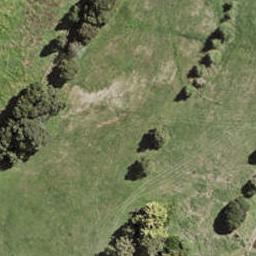 13 Collar Lane, Ōpaheke, Papakura