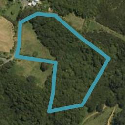 56 Te Rongo Road, Whangarei