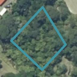 43 Lily Street, Raglan