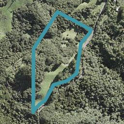 96 Lone Kauri Road, Karekare, Auckland