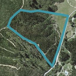 960 Onamalutu Road, Blenheim