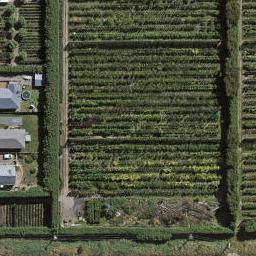 31 Rakau Lane, Waikiwi, Invercargill