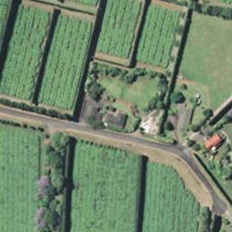 255 Ruahihi Road, Omanawa, Tauranga