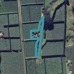 105 Beach Road, Tirohanga, Ōpōtiki