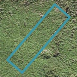11 Roundel Crescent, Whenuapai, Auckland