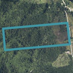 0 Omoto Valley Road, Kaiata, Greymouth