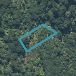 0 High St, Jackson Bay, Haast