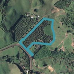 241B Work Road, Aongatete, Katikati