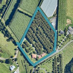 26B PAHOIA ROAD, Whakamarama, Western Bay Of Plenty