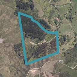173 Smith Road, Matakana, Matakana