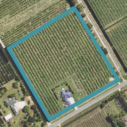39 Bell Road, Matawhero, Gisborne