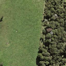 76 Te Aniwaniwa Terrace, Albany, Auckland