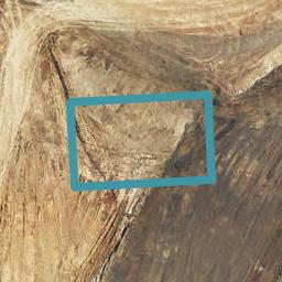 3 Kuaka Rise, Omokoroa, Omokoroa