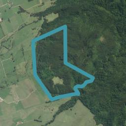 1813 Te Aroha-Gordon Road, Gordon, Manawaru