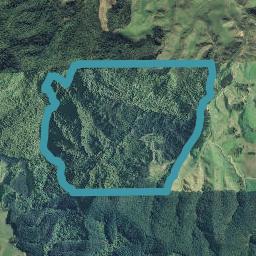 0 Gaskill Road, Tirohanga, Opotiki