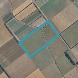 314 Wilkins Road, Tinwald, Ashburton