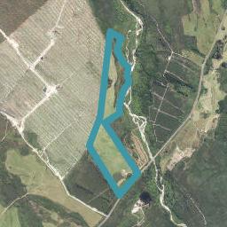 8677 State Highway 6, Virgin Flat, Cape Foulwind
