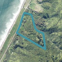 0 State Highway 67, Nikau, Seddonville