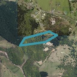 40 Quail RISE, Kauri