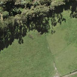 203 Henwood Road, Westgate, Auckland