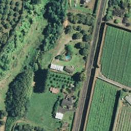 186B No 1 Road, Te Puke, Te Puke