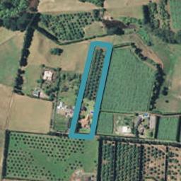 376B Youngson Road, Whakamarama, Tauranga