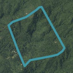1455 Buffalo Road, Coromandel